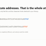 Two example addresses sharing identical first and last characters while the middle sections are completely different.